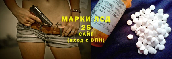 spice Богданович