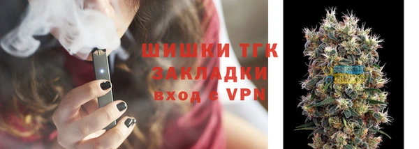 spice Богданович