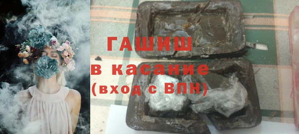 spice Богданович