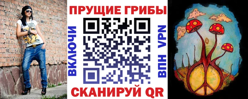 Галлюциногенные грибы GOLDEN TEACHER  Купить где  Гатчина 